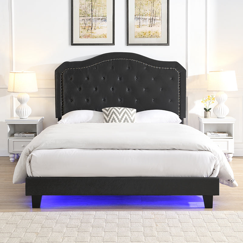Queen Upholstered Bed Button Tufted with Curve Design