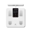 Segmental Smart Scale CS10E