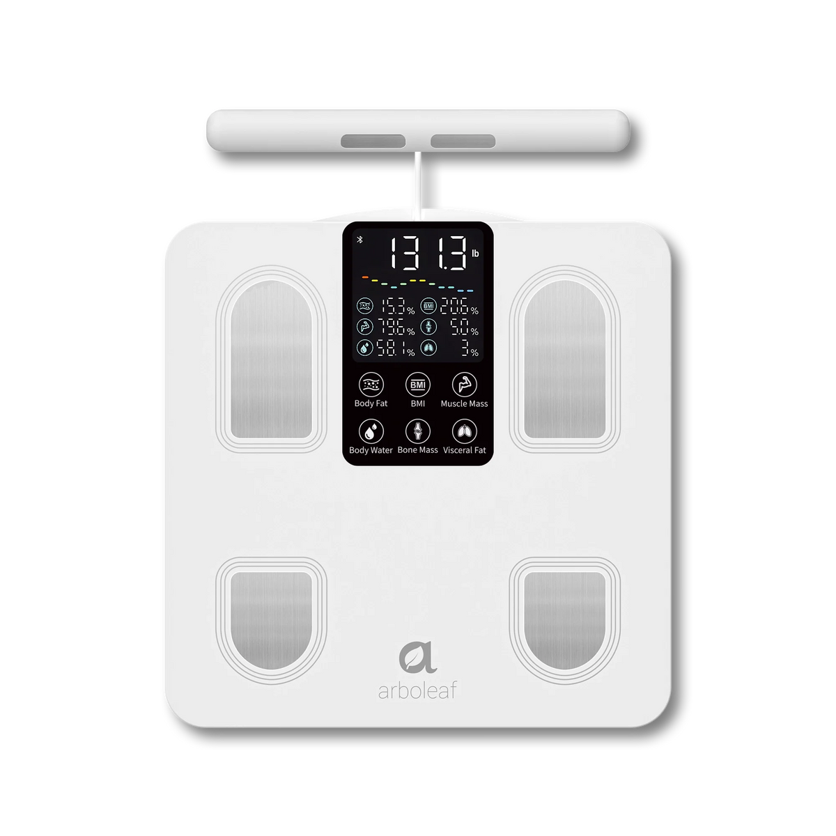 Segmental Smart Scale CS10E